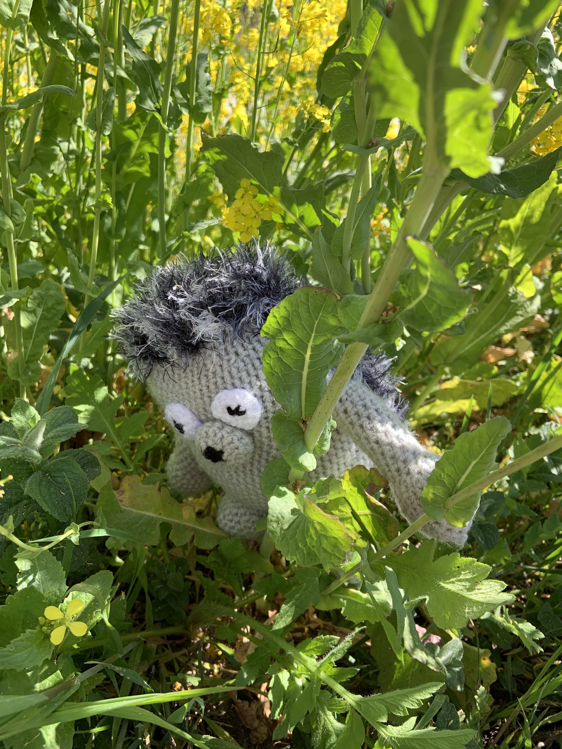 Hier is Eggbert ikke