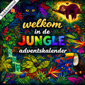 Handgeverfde garen wol - Adventskalender 2026 24x20gr (pre-order)