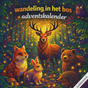 Handgeverfde garen wol - Zondag Adventskalender 2026 5x100gr (pre-order)